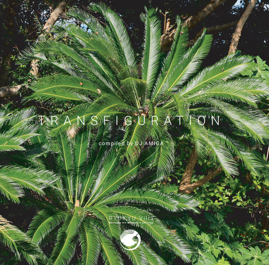 コンピレーションアルバム "TRANSFIGURATION" 
